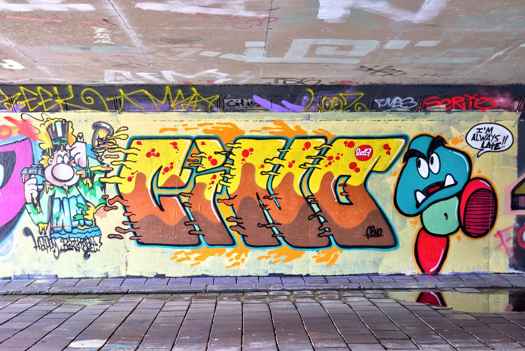 graffiti eindhoven hdr urbex art kunst kunstwerk mural murals berenkuil straatkunst